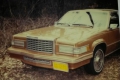 1982 Thunderbird